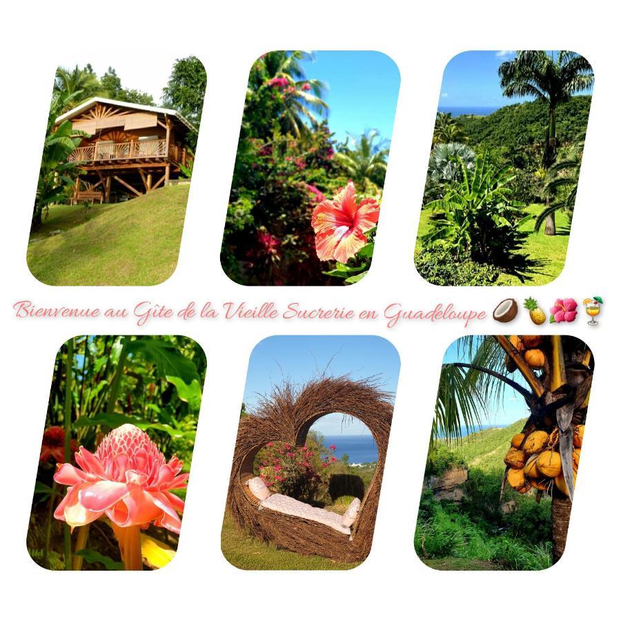 Gite 4 Etoiles, La Vieille Sucrerie St Claude Guadeloupe, Jacuzzi Spa Privatif, Vue Exceptionnelle Sur La Mer Des Caraibes Basse-Terre Exteriér fotografie