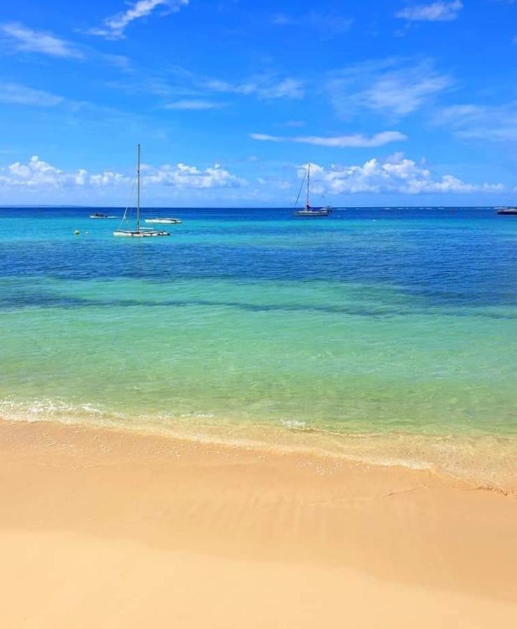 Gite 4 Etoiles, La Vieille Sucrerie St Claude Guadeloupe, Jacuzzi Spa Privatif, Vue Exceptionnelle Sur La Mer Des Caraibes Basse-Terre Exteriér fotografie