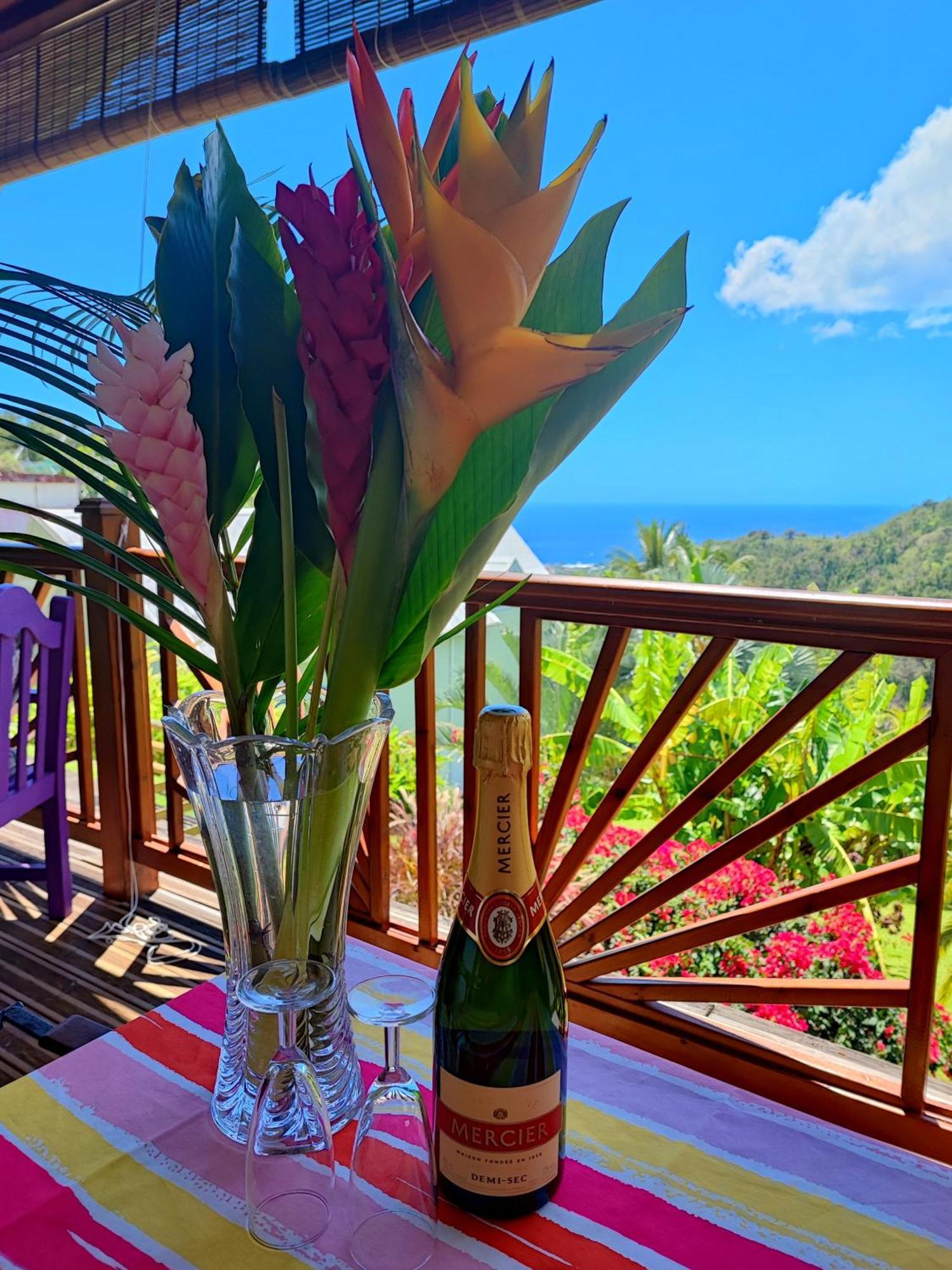Gite 4 Etoiles, La Vieille Sucrerie St Claude Guadeloupe, Jacuzzi Spa Privatif, Vue Exceptionnelle Sur La Mer Des Caraibes Basse-Terre Exteriér fotografie