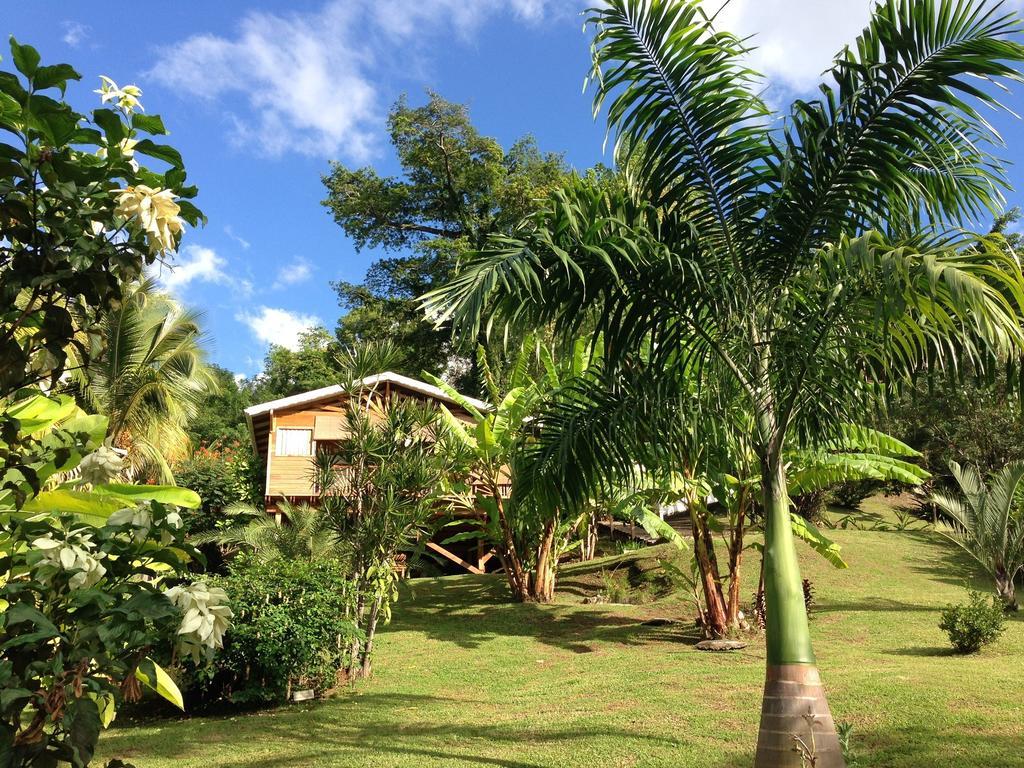 Gite 4 Etoiles, La Vieille Sucrerie St Claude Guadeloupe, Jacuzzi Spa Privatif, Vue Exceptionnelle Sur La Mer Des Caraibes Basse-Terre Exteriér fotografie